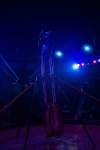 "Чудеса под Новый год" в Тульском цирке, Фото: 2