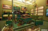 Музеи Тулы, Фото: 52