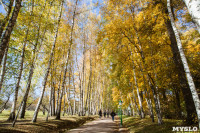 Золотая осень в Ясной Поляне, Фото: 29