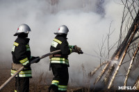 В Белевском районе провели учения по тушению лесных пожаров, Фото: 2