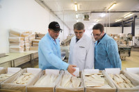 Дмитрий Миляев посетил предприятие по производству замороженной рыбы и полуфабрикатов, Фото: 17