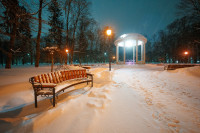 Вечерний снегопад, Фото: 32