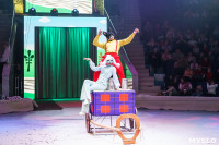 Искусство иллюзии и вера в чудо: в Тульском цирке стартовала программа «Загадка старой игрушки», Фото: 34