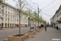 Над деревьями на проспекте Ленина начали поднимать провода, Фото: 4