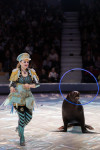 Успейте посмотреть шоу «Новогодние приключения домовенка Кузи» в Тульском цирке, Фото: 141