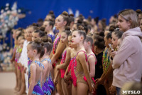 Соревнования по художественной гимнастике на призы благотворительного фонда «Земляки», Фото: 223