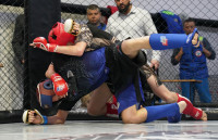 В Новомосковске прошел Чемпионат и Первенство Тульской области по ММА, Фото: 34