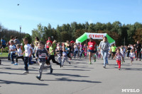 В Центральном парке прошел "Тульский марафон 2017", Фото: 152