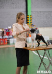 Выставка собак в Туле , Фото: 87