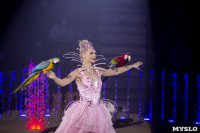 Шоу фонтанов «13 месяцев» в Тульском цирке – подарите себе и близким путевку в сказку!, Фото: 21