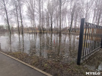 Тулица затопила Баташевский сад, Фото: 6