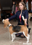 Выставки собак в ДК "Косогорец", Фото: 18