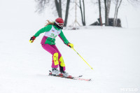 Третий этап первенства Тульской области по горнолыжному спорту., Фото: 29