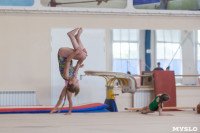Тульские гимнастки готовятся к первенству России, Фото: 18