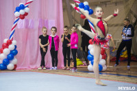 Соревнования по художественной гимнастике 31 марта-1 апреля 2016 года, Фото: 42