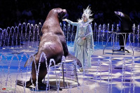 Цирковое шоу фонтанов 13 месяцев, Фото: 19