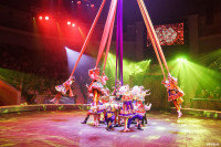 Шоу Гии Эрадзе «5 континентов» в Тульском цирке: феерия уже началась!, Фото: 101