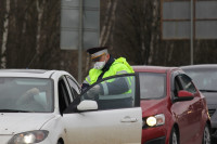 В Тульской области на трассах выставлены посты для контроля за въезжающими в регион, Фото: 21