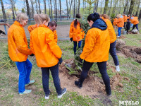 ЕВРАЗ посадил в Пролетарском парке 100 деревьев, Фото: 20