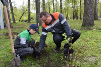 Сотрудники «ЕВРАЗ Ванадий» Тулы посадили деревья в Баташевском саду, Фото: 4