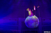 Премьера новогоднего шоу в Тульском цирке, Фото: 68