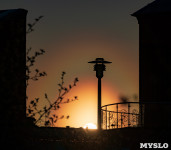 Тульский фотограф запечатлел пыльцевую корону вокруг солнца, Фото: 27