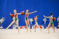 Соревнования по художественной гимнастике на призы благотворительного фонда «Земляки», Фото: 150