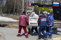 В Тульский перинатальный центр из Новомосковска на вертолете доставлены близняшки, Фото: 24