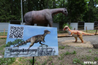 В Туле появился парк с интерактивными динозаврами, Фото: 13