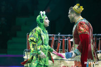 Цирковое шоу Жар птица, Фото: 48