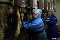 Конкурс профессионального мастерства среди операторов машинного доения коров, Фото: 41