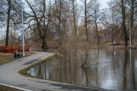 В Туле затопило Баташевский сад, Фото: 21
