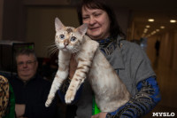 В Туле прошла выставка «Пряничные кошки» , Фото: 72