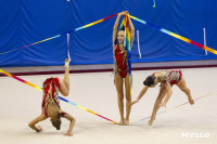 В Туле стартовало первенство Центрального федерального округа по художественной гимнастике, Фото: 3