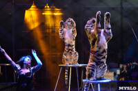 Цирковое шоу, Фото: 116