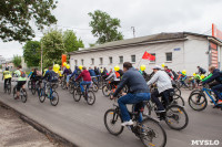 В Туле прошел большой велопарад, Фото: 98