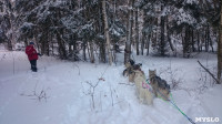 Зимний поход с собаками, Фото: 12