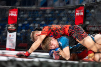 В «Тула-Арене» состоялись областные соревнования по ММА, Фото: 29