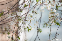 Весна в Туле, Фото: 3