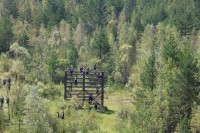 Гонка Героев-2025, Фото: 5