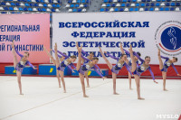 Соревнования по эстетической гимнастике «Кубок Роксэт», Фото: 77