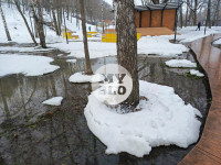 Гагаринский парк в Плавске, Фото: 1