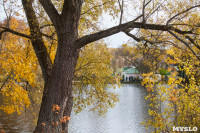 Золотая осень в Ясной Поляне, Фото: 125