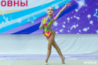 Тула провела крупный турнир по художественной гимнастике, Фото: 26