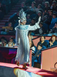 Шоу «Жар-птица», Фото: 15
