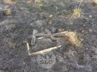 Сгоревшее кладбище в Алексине, Фото: 31