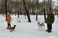 В Комсомольском парке прошёл рейд по выявлению собачников-нарушителей, Фото: 11