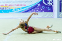 Тула провела крупный турнир по художественной гимнастике, Фото: 88