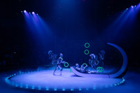 Новое грандиозное шоу Гии Эрадзе «Королевский цирк» стартует в Тульском цирке, Фото: 43
