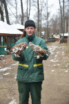 Зимовка зверей в Белоусовском парке, Фото: 8